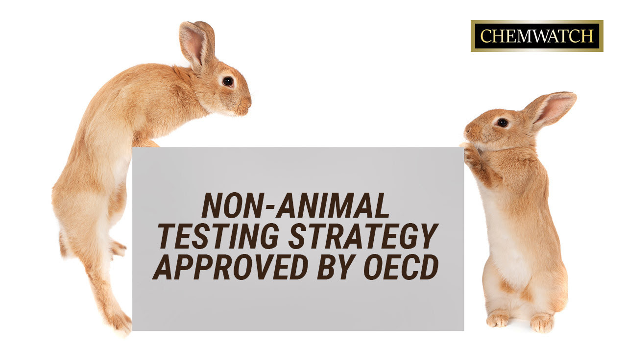 Стратегия за изпитване на животни, одобрена от ОИСР