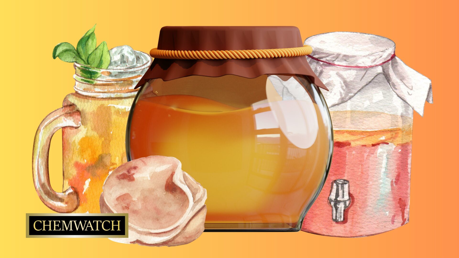 Kombucha is rich in probiotics, believed to aid in supporting gut health and digestion.
